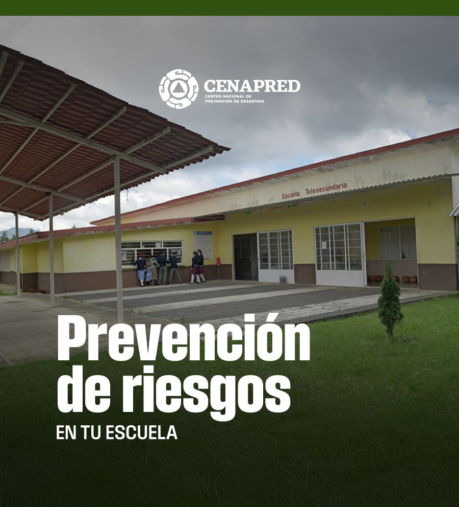 Prevención de riesgos en tu escuela PDRE250111x