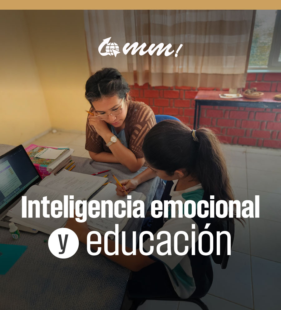Inteligencia emocional y educación IEYE251110X