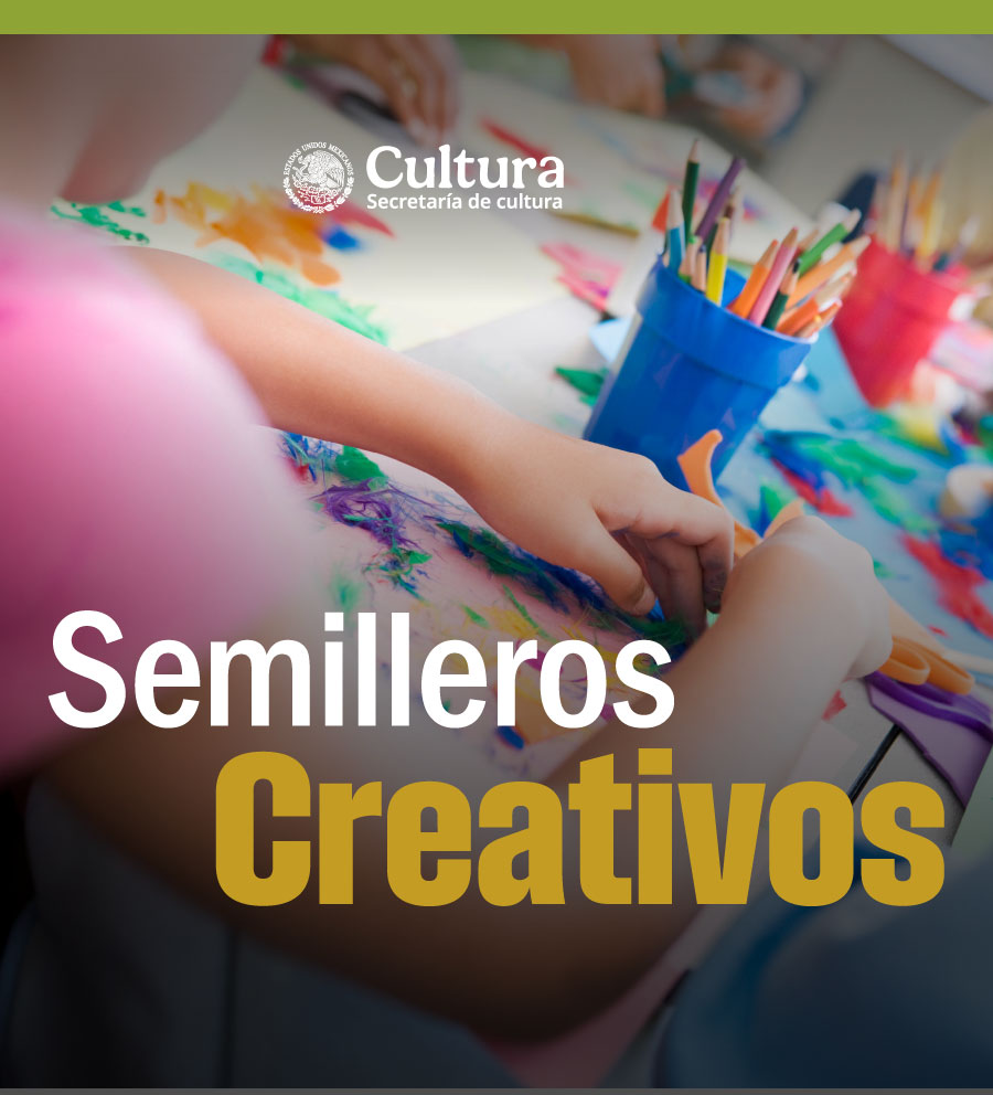 Semilleros Creativos: Introducción al modelo de participación comunitaria de infancias y juventudes SCIA25091X