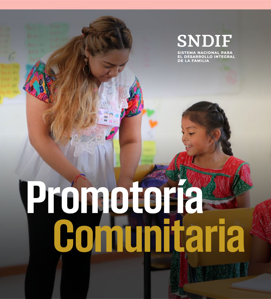 Promotoría Comunitaria: Estrategias y Herramientas para la Transformación Social PCEY25101X