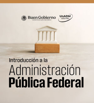 Introducción a la Administración Pública Federal IALA25119X